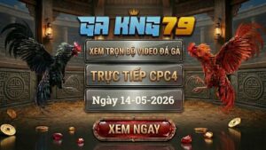 Xem Full Clip Đá Gà Bồ CPC4 Ngày 14/05/2026